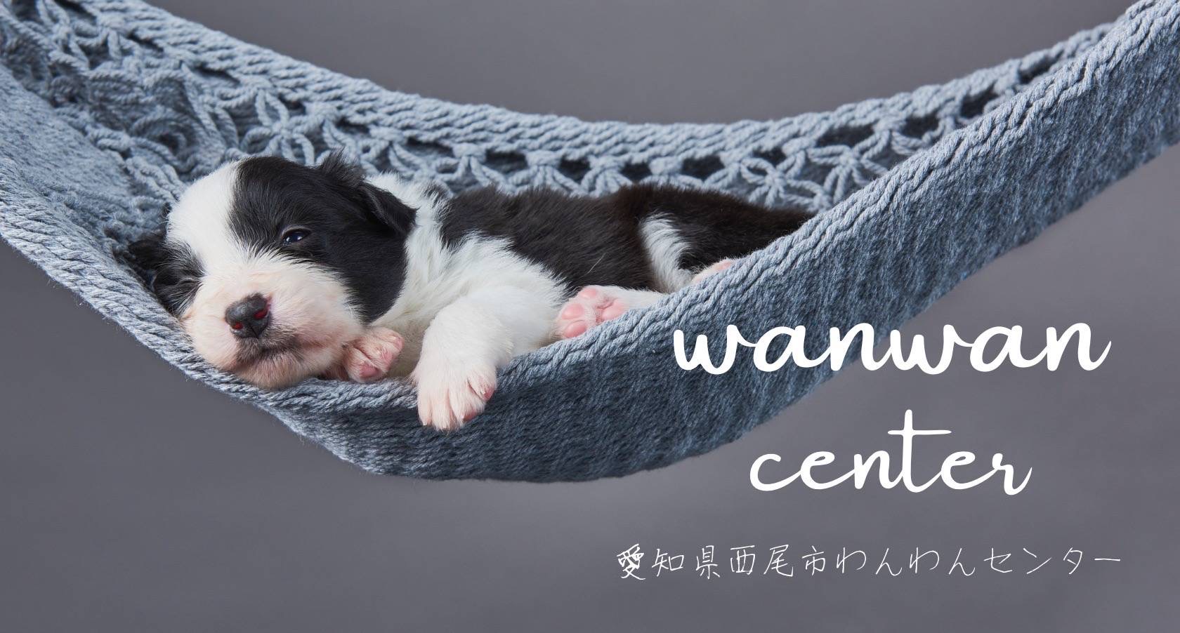 welcome to Wanwan Center